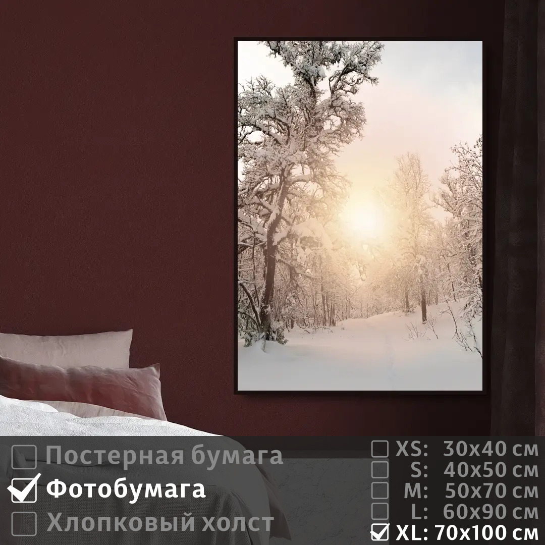 

Постер на фотобумаге ПолиЦентр Лес зимний пейзаж 70х100 см, ЛесЗимнийПейзаж7