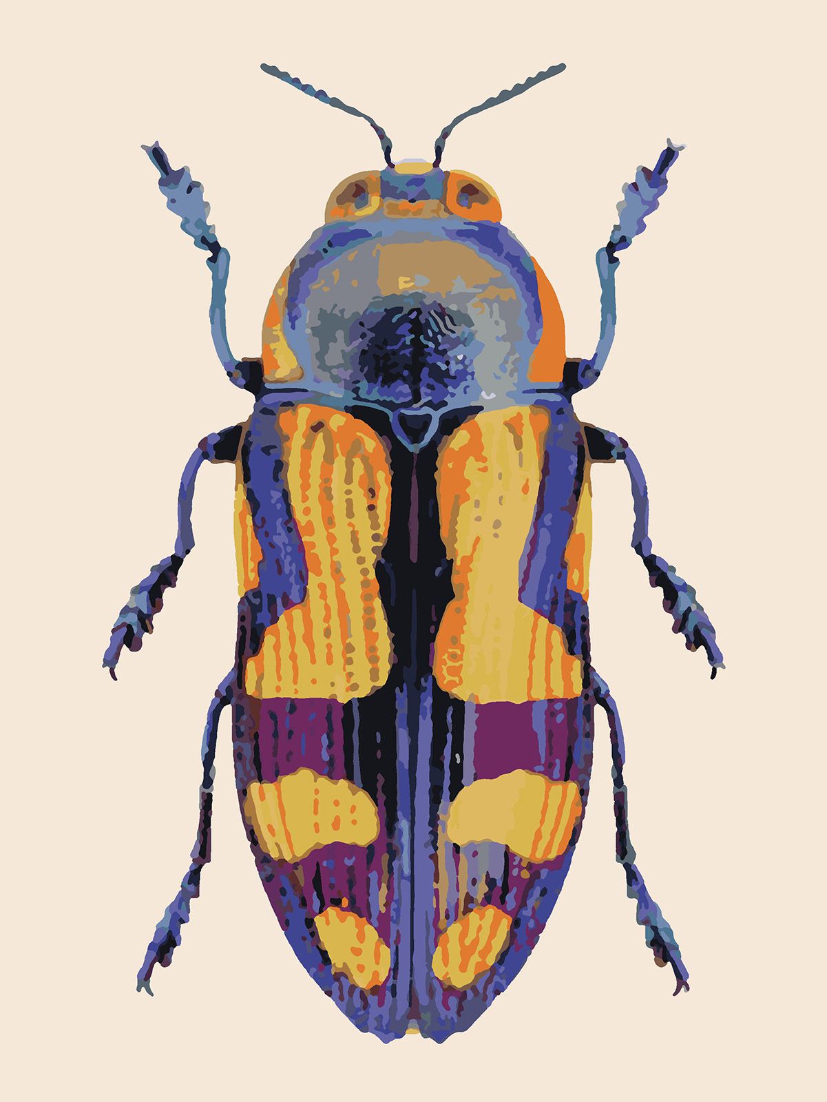 фото Картина по номерам красиво красим золотисто-фиолетовый жук, 70 х 80 см