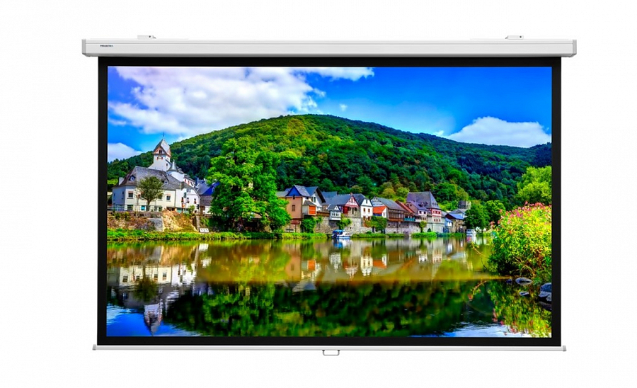 Экран для проектора Lumien Master Picture CSR 194x276