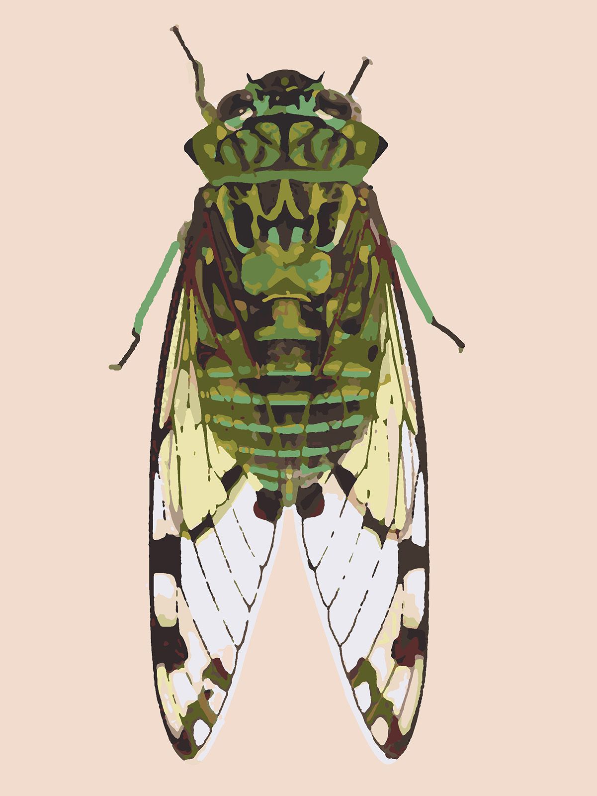 фото Картина по номерам красиво красим зеленая муха, 80 х 90 см