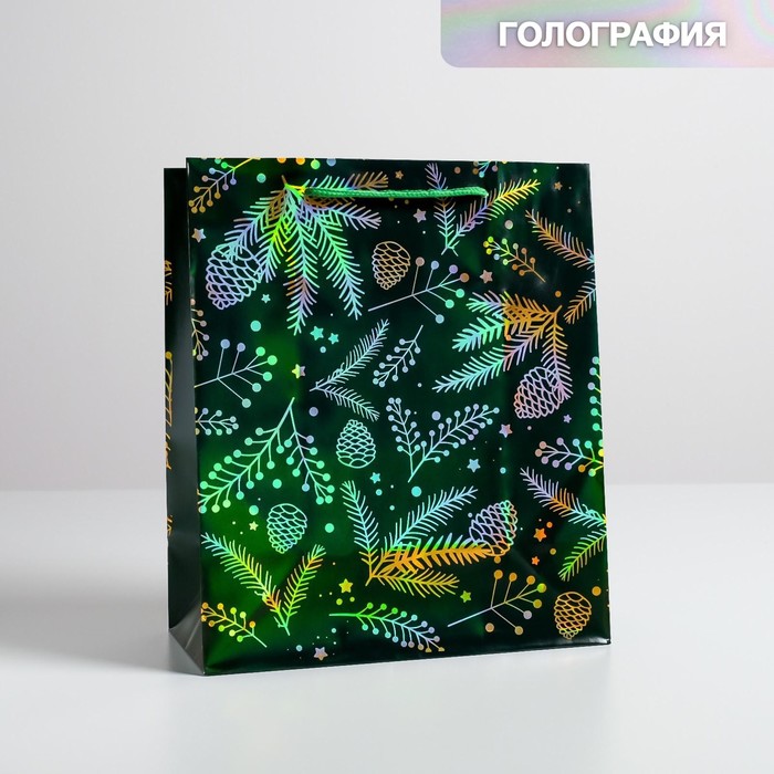

Пакет голография вертикальный Шишки, ML 23 х 27 х 11,5 см, Разноцветный