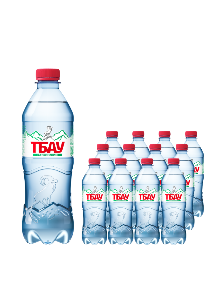 

Вода Тбау газированная ПЭТ 0,5 л