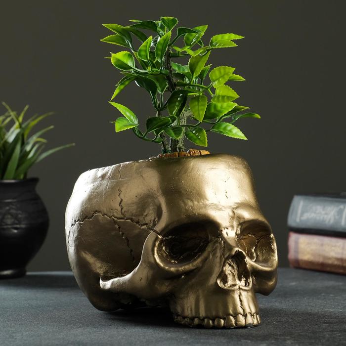 

Цветочное кашпо Органайзер череп 0,2 л бронзовый 1 шт., Золотистый, Органайзер череп