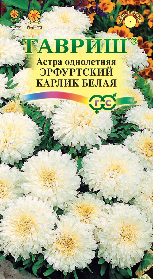 Семена астра Эрфуртский карлик Белая Гавриш 001129-10 1 уп.