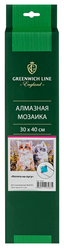 

Алмазная мозаика Greenwich Line Котята в цветах 30x40 см холст