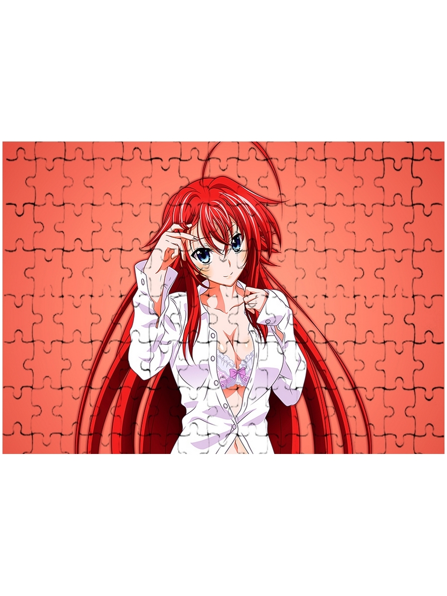 

Магнитный пазл Drabs High School DxD Риас 120дет 24990006, Магнитный пазл на холодильник 2
