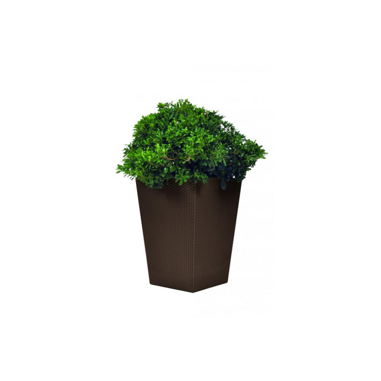 

Кашпо Rattan Planter M (кор.)