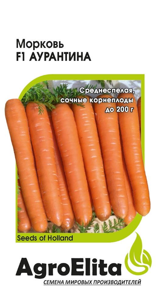 

Семена. Морковь "Аурантина F1", Энза Заден (вес: 0,3 г)