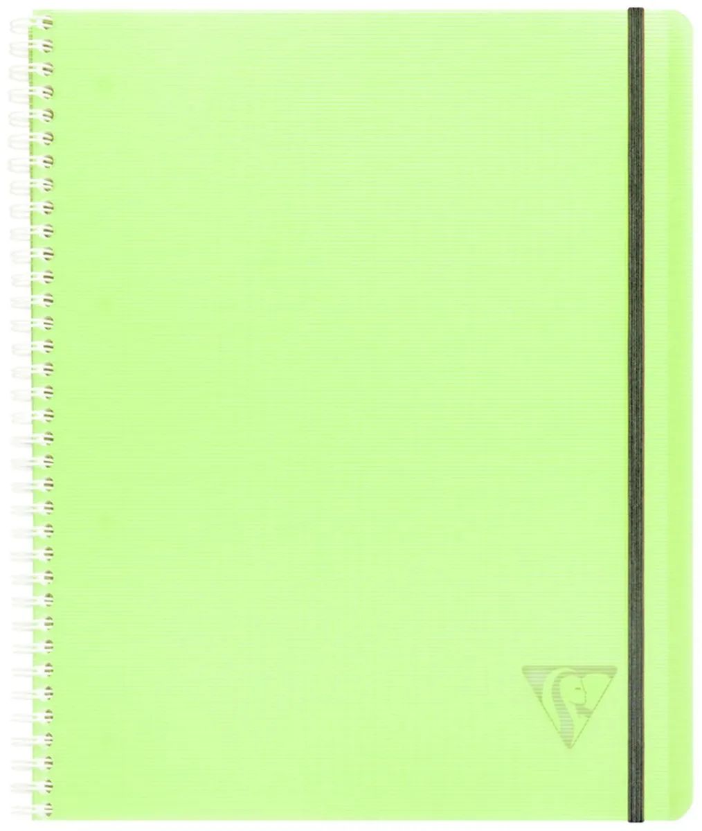 

Тетрадь Clairefontaine 328175C_green на спирали А4+ клетка 80 листов 1 шт, Proactiv Book
