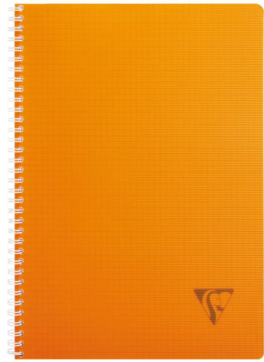 

Тетрадь Clairefontaine 90 л. А4 клетка "Linicolor" оранжевая, арт. 328126c_orange