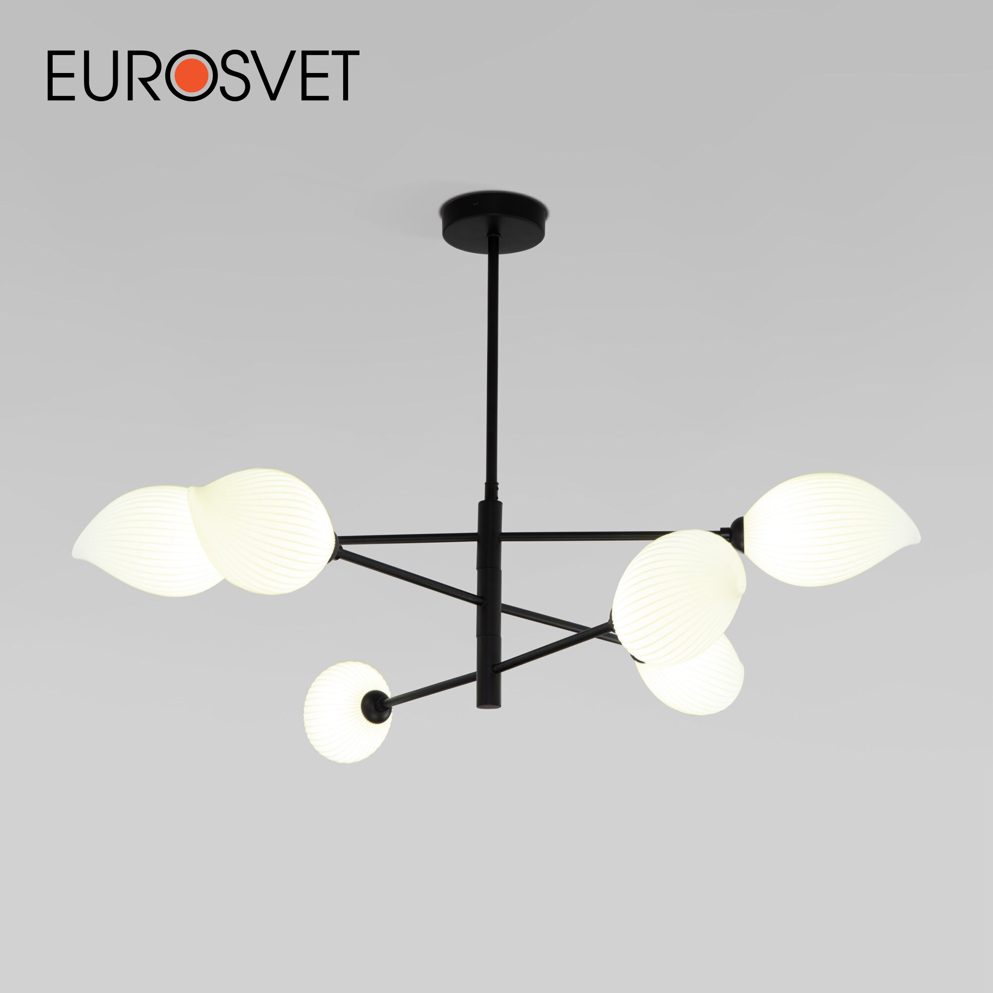 

Потолочная люстра на 6 плафонов Eurosvet Sinki 30189/6 G9 черный, Sinki