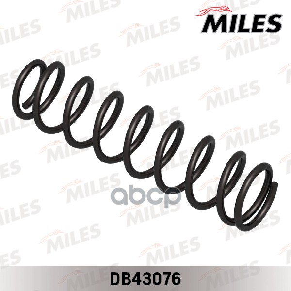 

Пружина Задняя Miles DB43076