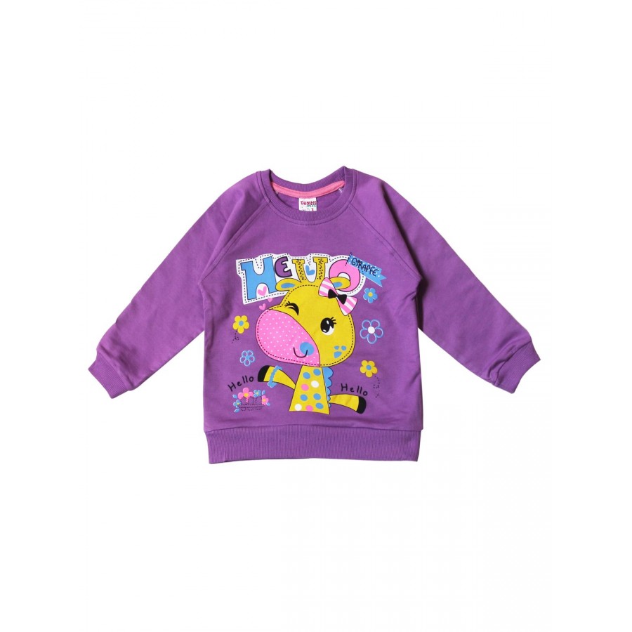 

Свитшот TEKSTIL 5672-01 сливовый р.116, 5672-01