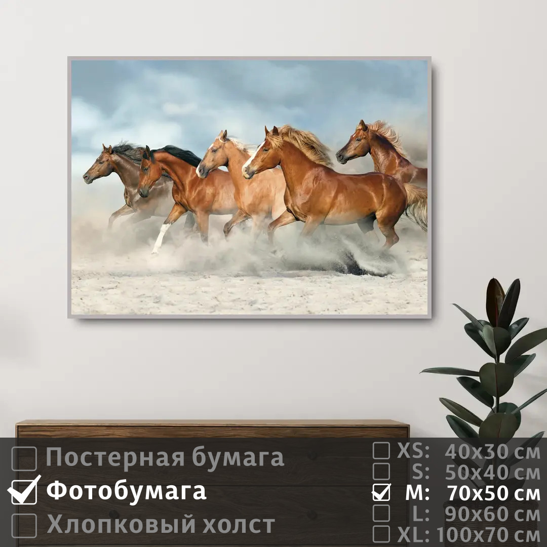 

Постер на фотобумаге ПолиЦентр Лошади скачут по песку 70х50 см, ЛошадиСкачутПоПеску