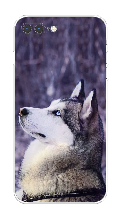 

Чехол на Apple iPhone 8 Plus "Хаски 1", Фиолетовый;белый, 10950-1