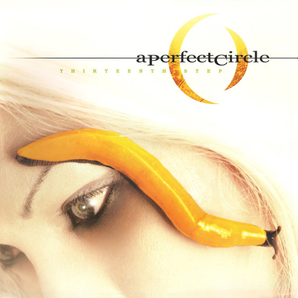 A Perfect Circle Thirteenth Step (2LP)