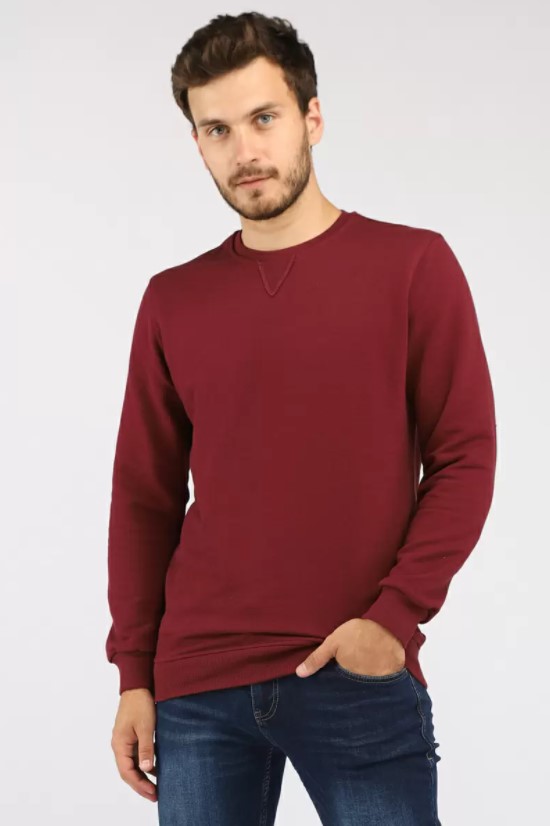 

Свитшот мужской A passion play 212TR(BC-0001)-1201 бордовый L, 212TR(BC-0001)-1201