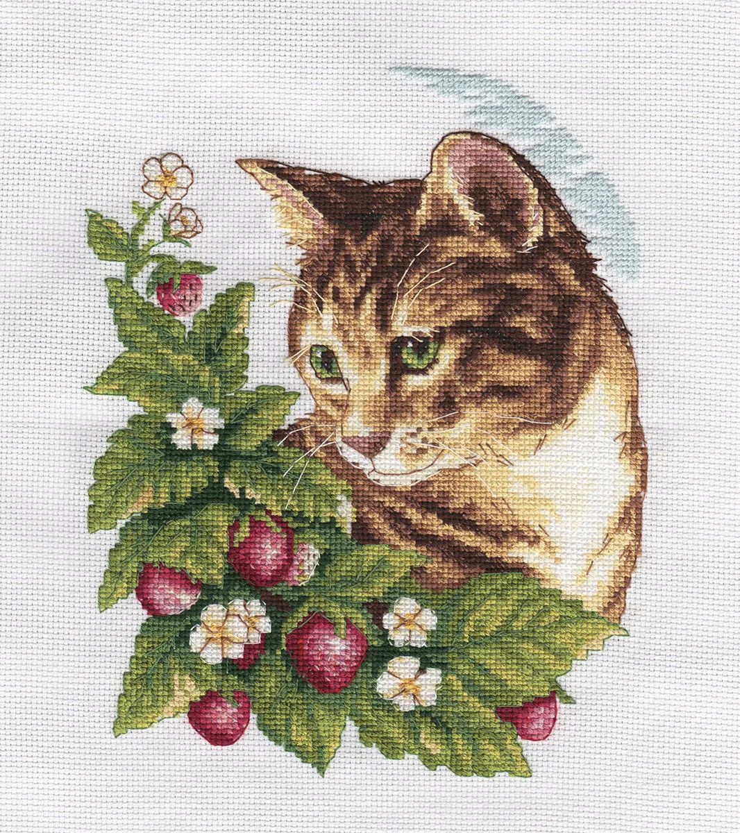фото Набор вышивки крестом klart "кошка в клубнике", 20х24 см, арт. 8-174
