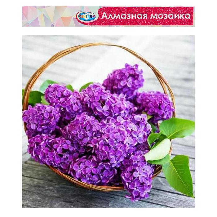 

Алмазная мозаика без подрамника, частичное заполнение «Сирень» 40×50 см