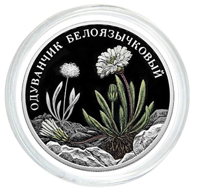 

Серебряная монета 2 рубля в капсуле Одуванчик белоязычковый, Красная Книга, СПМД, 2022 PF