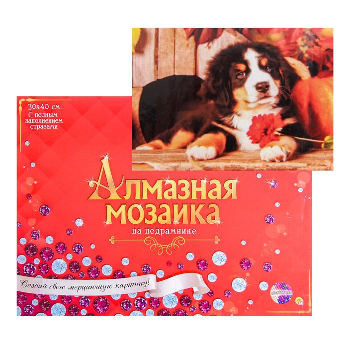 

Алмазная мозаика с полным заполнением, 30 × 40 см «Щенок зенненхунда»