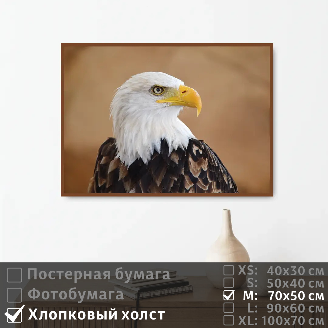 

Постер на холсте ПолиЦентр Белоголовый орел 70х50 см, БелоголовыйОрел