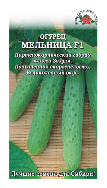 

Огурец Мельница F1