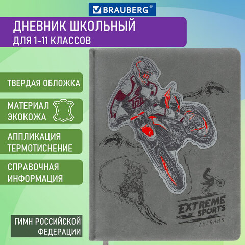 

Дневник 1-11 класс 48 л., Brauberg, Extreme, 106569, 2 шт, Серый