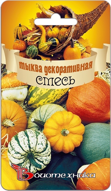 

Тыква декоративная смесь