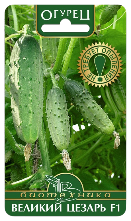 

Семена овощей огурец Великий Цезарь F1 Биотехника 12699 5 г