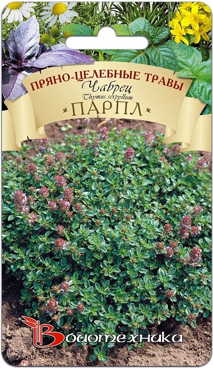 

Чабрец Парпл
