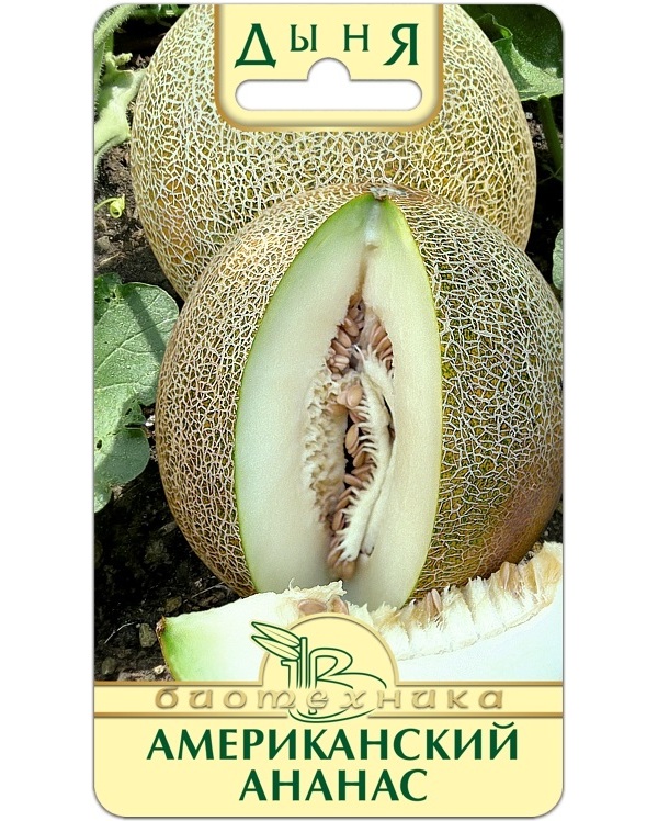 

Дыня Американский ананас