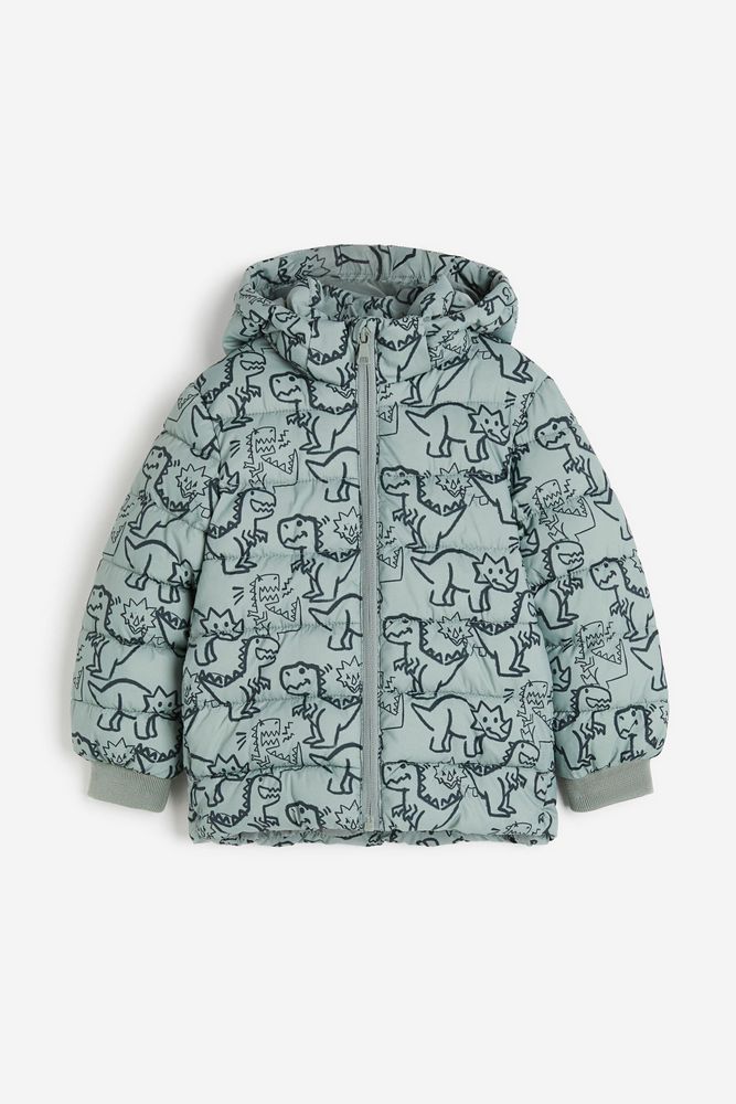 

Куртка детская H&M 1207112, Светло-зеленый хаки/динозавр, 98, 1207112