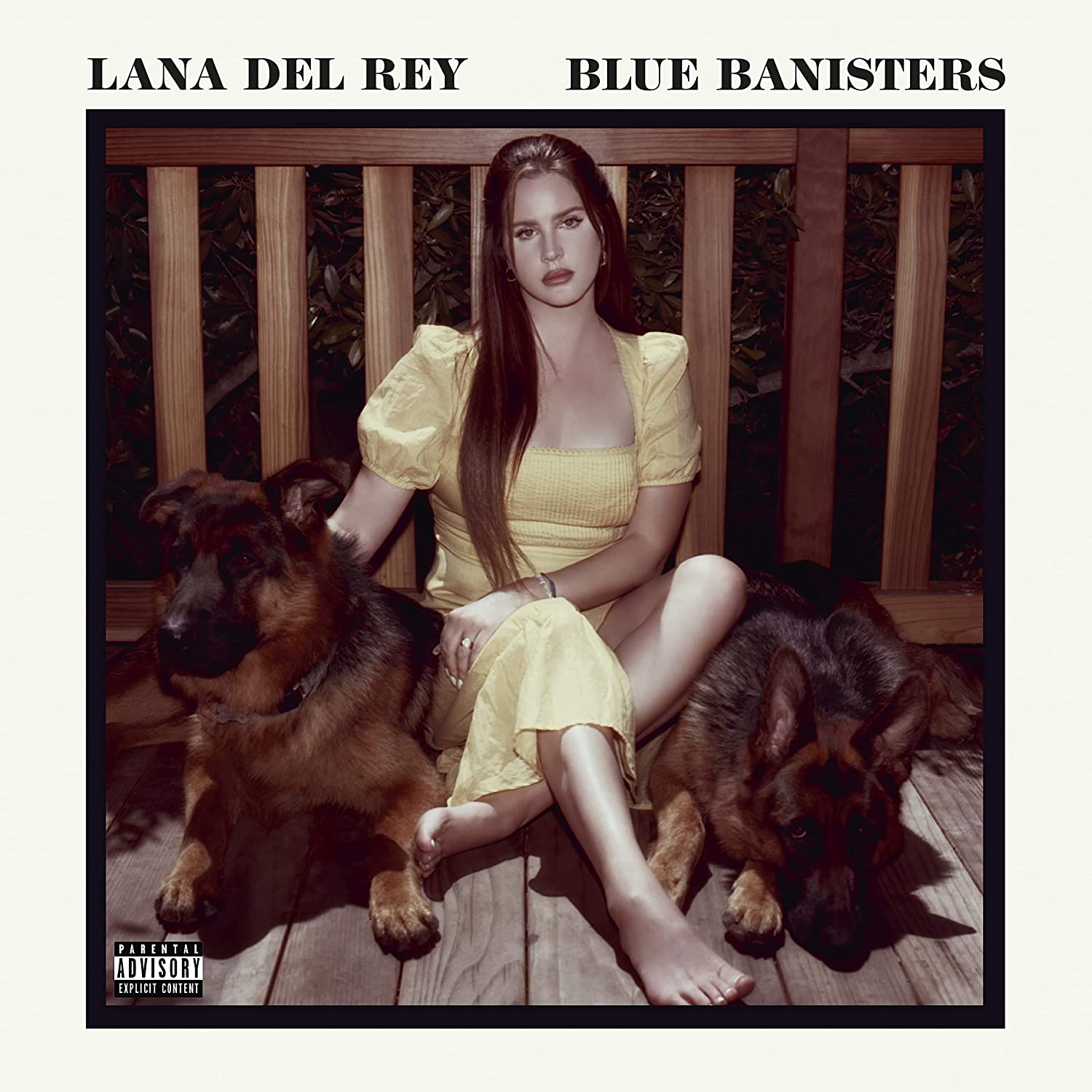 фото Lana del rey blue banisters (cd) мистерия звука