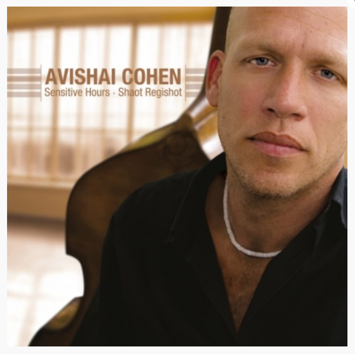 

Cohen Avishai Trio Sensitive Hours - Shaot Regish LP, Sensitive Hours - Shaot Regish
