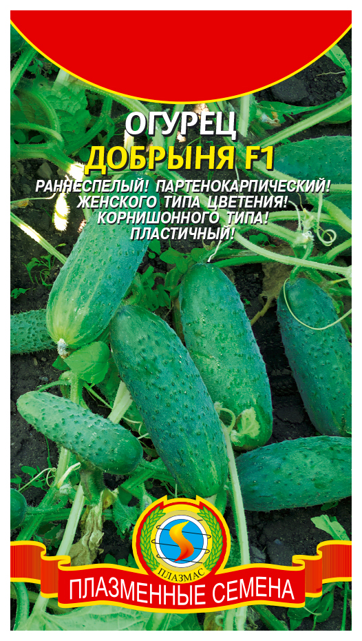 купить семена добрыня купить семена добрыня