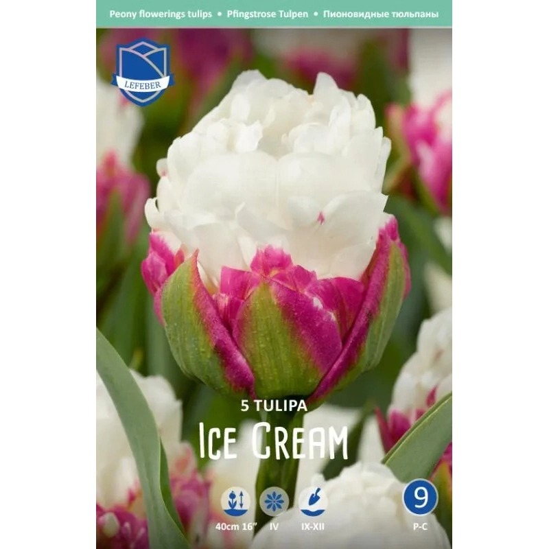 

Луковицы тюльпан Lefeber Ice Cream 5 шт.