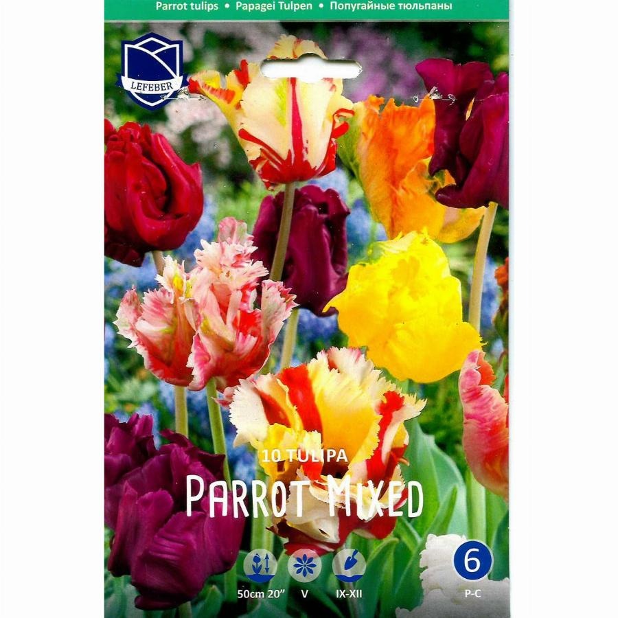 

Луковицы тюльпан Lefeber Попугайные 10 шт.