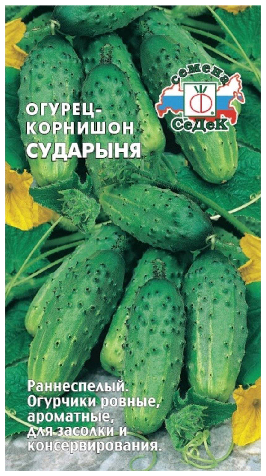 

Семена огурец СеДеК Сударыня F1 13768 1 уп.