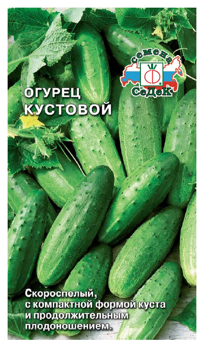 Купить Семена Огурцов Кустовой