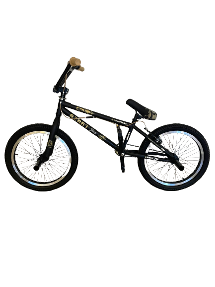 

Велосипед BMX AZARTforce ABD-2019 20" (Черный матовый)