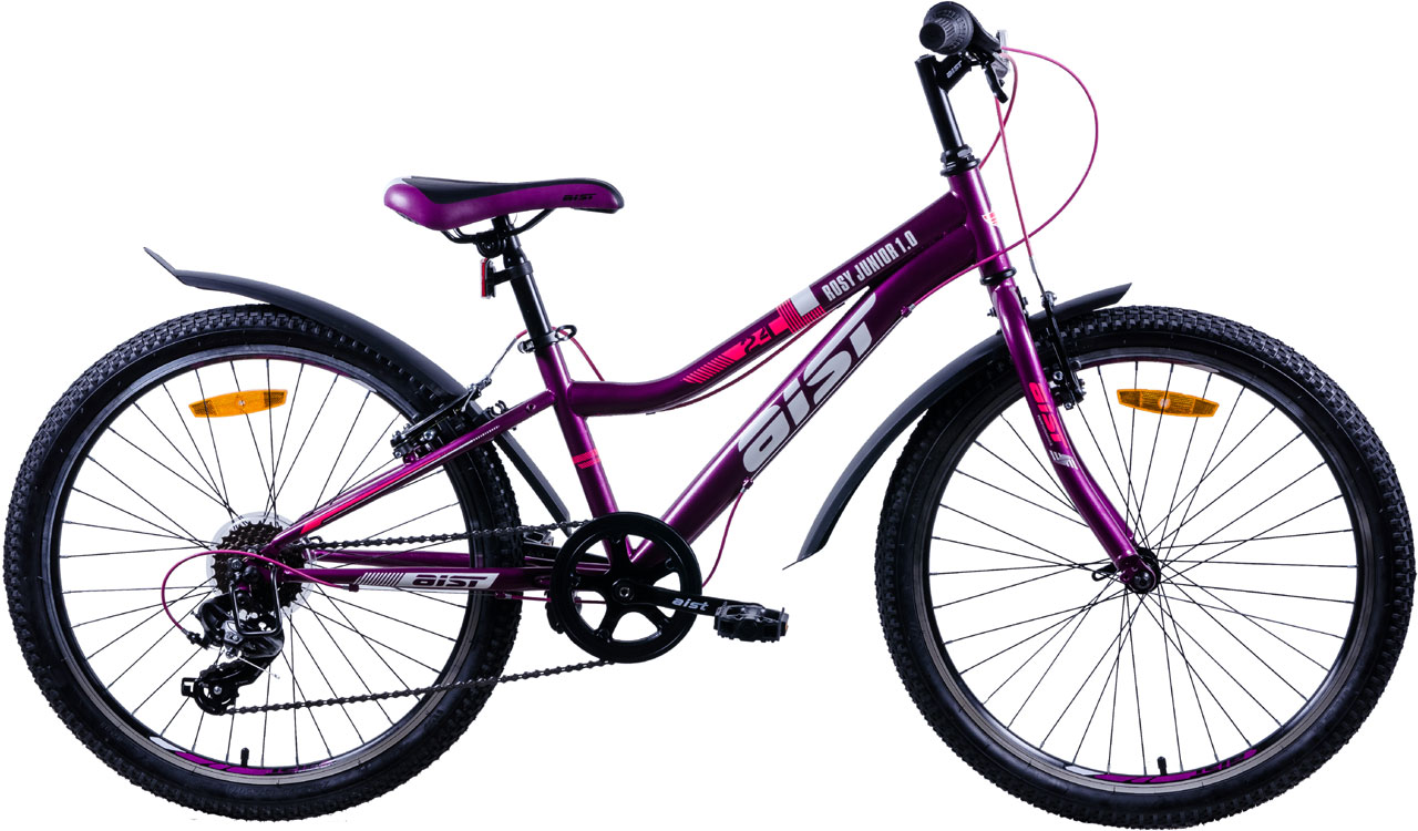 Велосипед AIST Rosy Junior 1.0 24 2022 фиолетовый