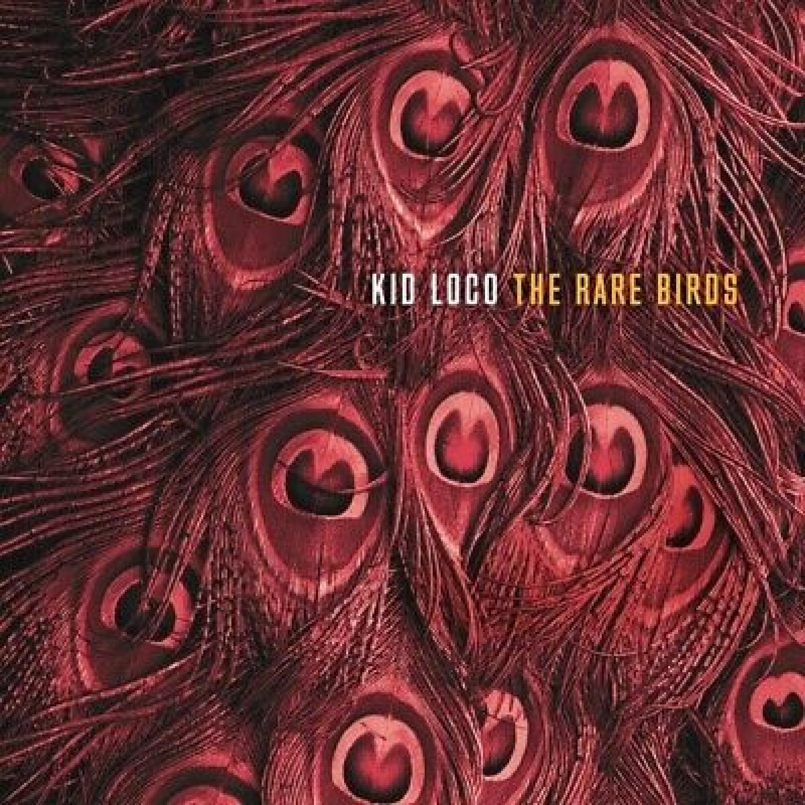 

Виниловая пластинка Kid Loco Rare Birds, Kid Loco Rare Birds