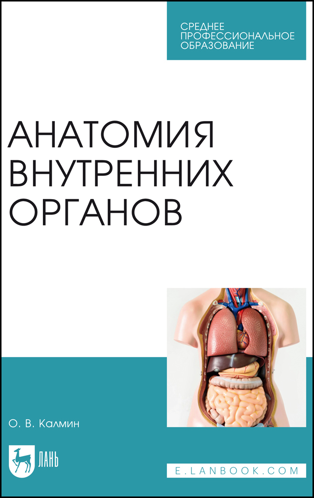 

Анатомия внутренних органов