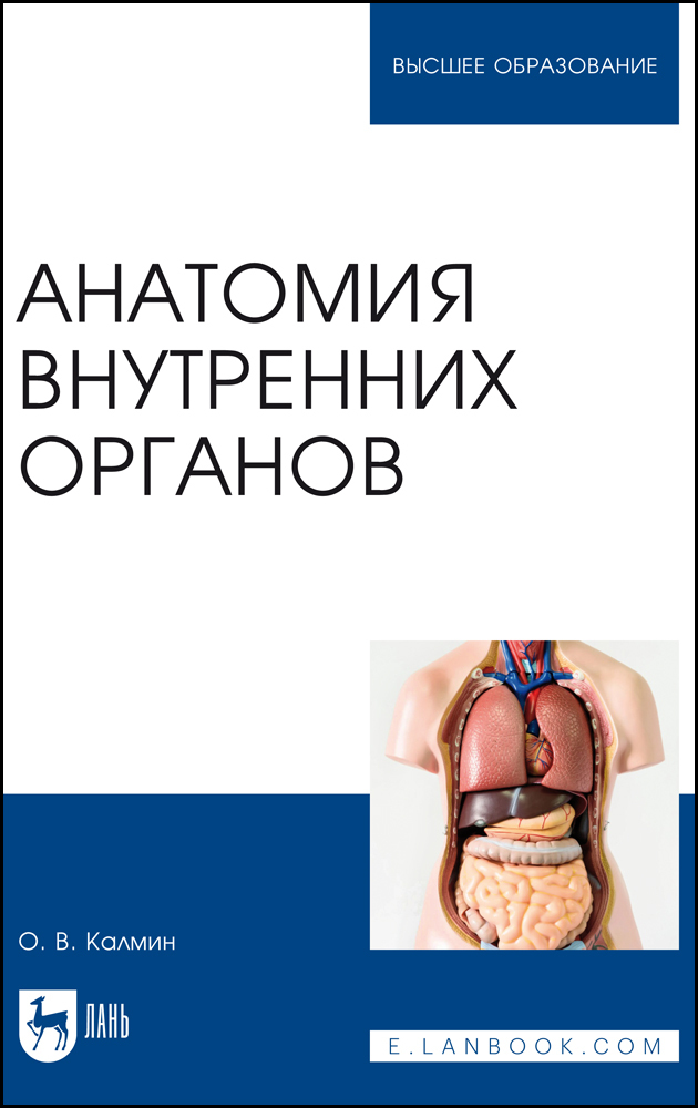 

Анатомия внутренних органов