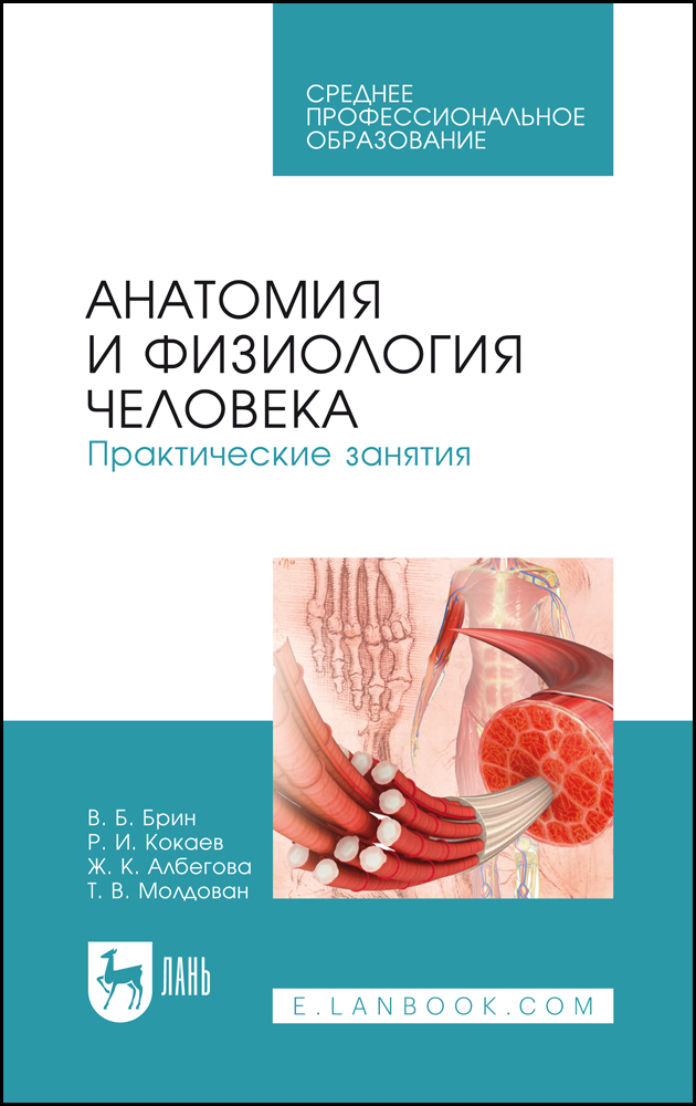 

Анатомия и физиология человека Практические занятия