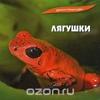 Звуки природы - Лягушки