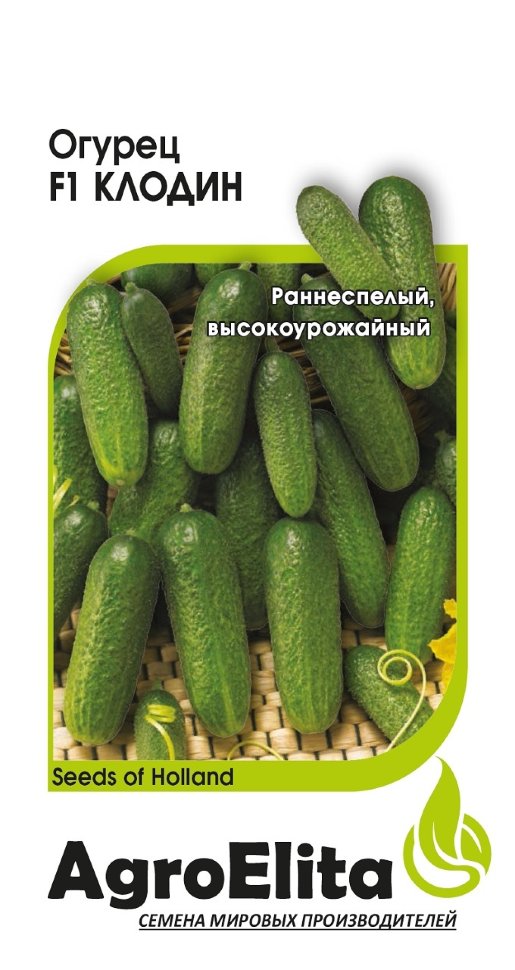 

Семена. Огурец "Клодин F1", партенокарпический (5 штук)