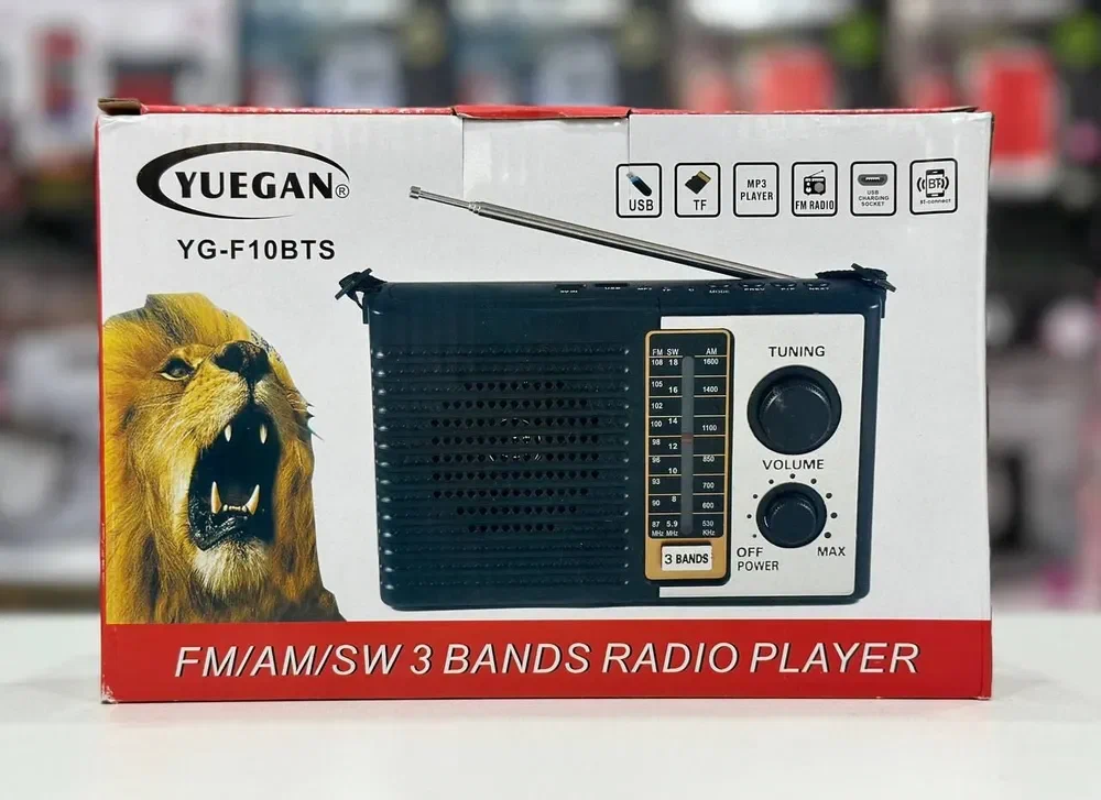 

Радио портативная YUEGAN YG-F10BTS, Черный, RD0234022780580