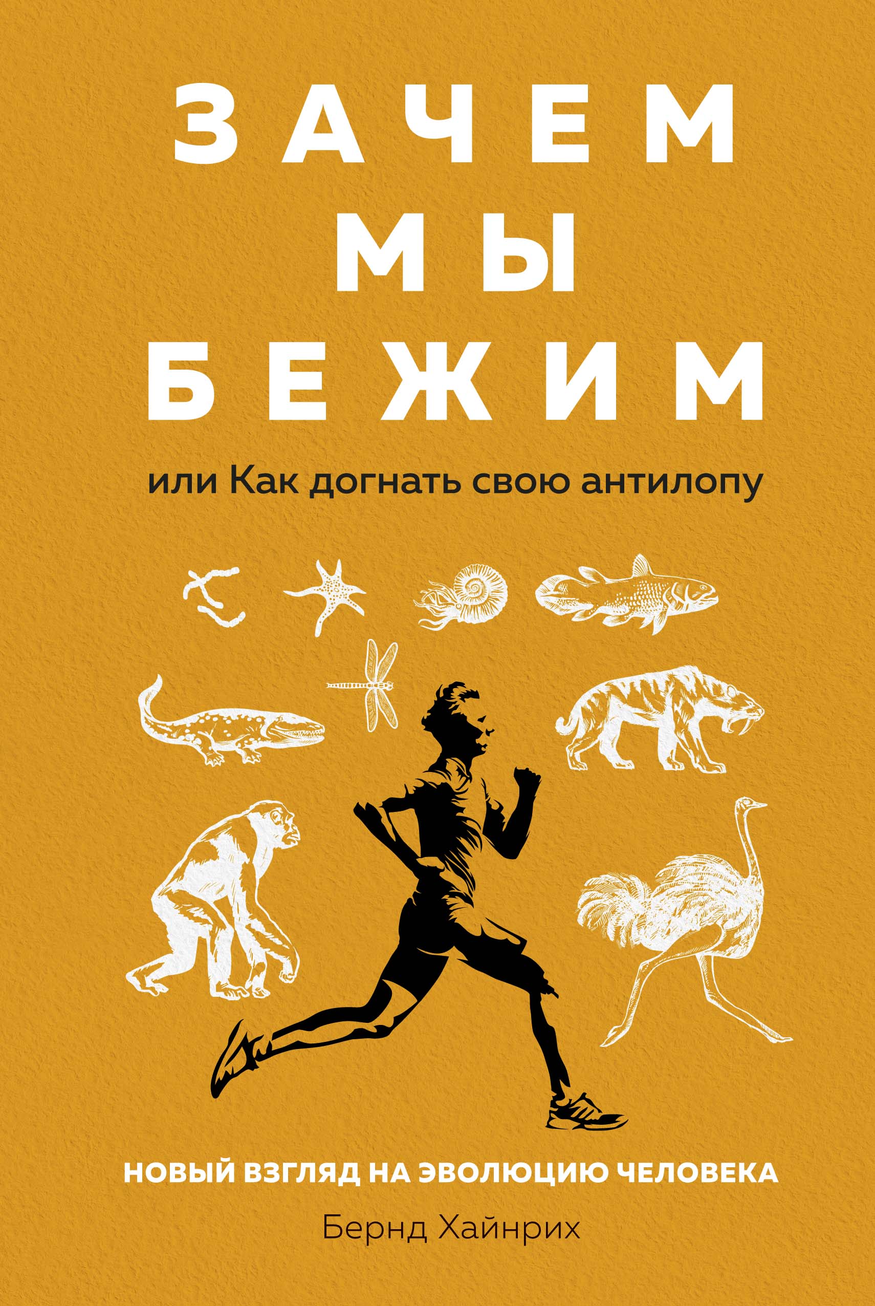 фото Книга зачем мы бежим, или как догнать свою антилопу. новый взгляд на эволюцию человека колибри